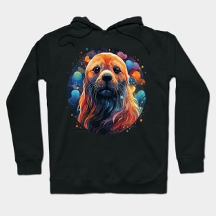 Harp Seal Rainbow Hoodie